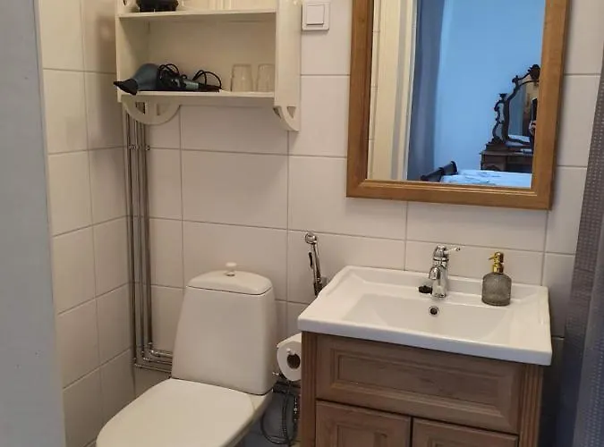 Ξενοδοχείο Neitsytniemen Kartanohotelli Ιμάτρα